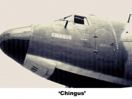 Chingus 43-49491 JJ Jones