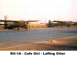 200811120822 - RU-1A - Cafe Girl - Laffing Otter