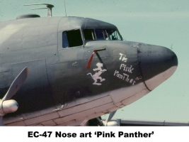 pink panther - NT-647